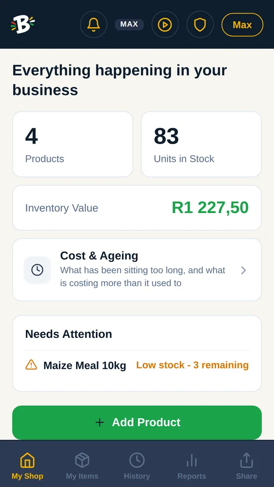 Dashboard with product count, units in stock, inventory value, cost and ageing, and a low-stock alert